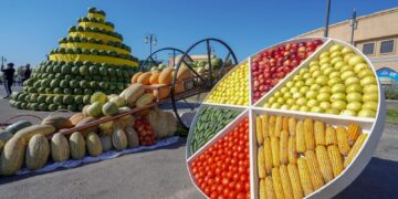 Түркістан облысының ауыл шаруашылығы қызметкерлері күніне орай «Agrofest Túrkistan — 2024» салтанатты шарасы өтуде