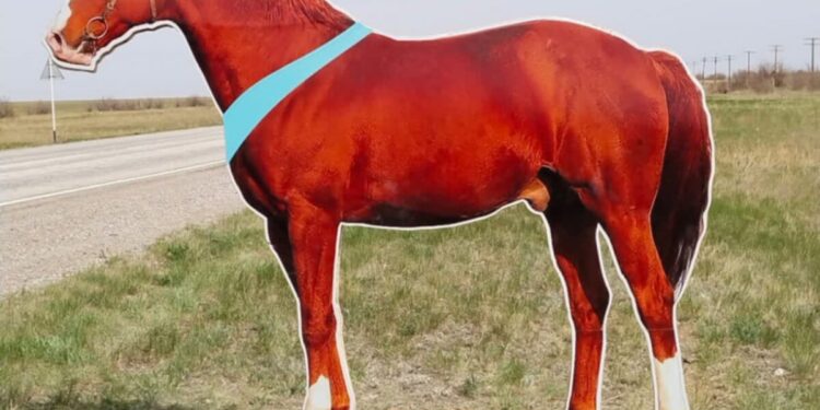 Жамбыл облысында тас жолдардың бойына «жылқы» макеті қойылды