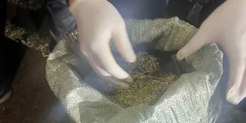 ҰҚК Жамбылда екі есірткі тобының жолын кесті