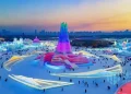 ІХ қысқы Азия ойындарында ел намысын 139 спортшы қорғайды