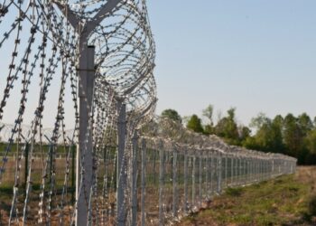 Жамбылда 9 пәкістандық шекарадан заңсыз өткені үшін сотталды