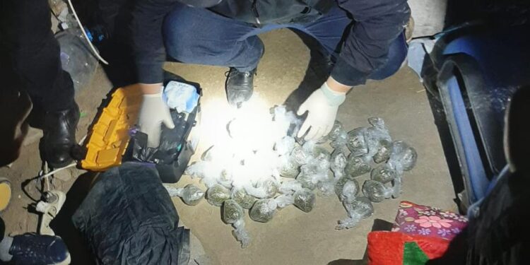 Жамбыл облысының полицейлері қылмыстық топты құрықтау кезіндегі бейнематериалды көрсетті