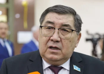 Ермұрат Бапи жас депутаттарды билікке тартуды ұсынды