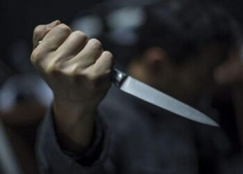 Анасын пышақтап өлтірген сотталушы жазаны жеңілдетуді сұрады