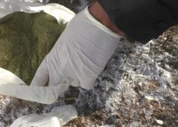 Үйінде аса ірі көлемде есірткі сақтаған Шу тұрғыны ұсталды