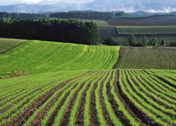 Жамбылда жерді мемлекетке қайтару ісі қалай жүруде?