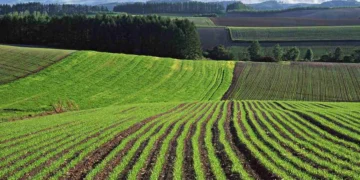 Жамбылда жерді мемлекетке қайтару ісі қалай жүруде?