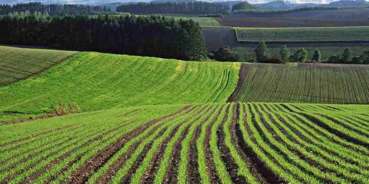 Жамбылда жерді мемлекетке қайтару ісі қалай жүруде?