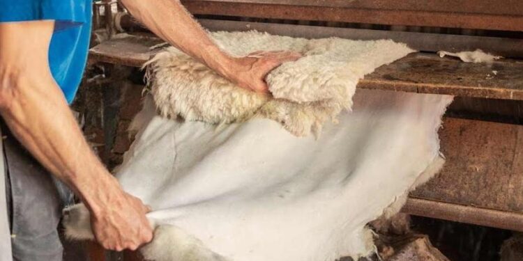 13 кәсіпорынның тек 4-і ғана жұмыс істейді