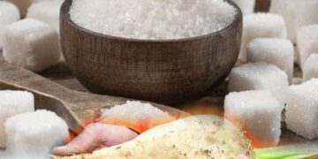 Жиналған қант қызылшасының жартысы ғана өңделген