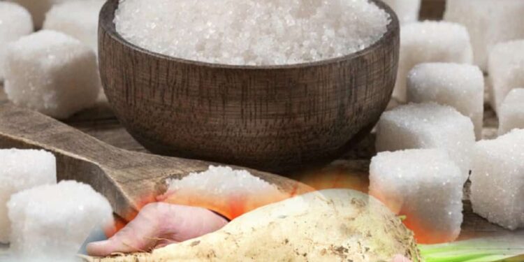 Жиналған қант қызылшасының жартысы ғана өңделген