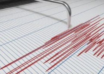 ЖАМБЫЛДА ЖЕР СІЛКІНІДІ