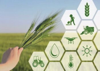 Жоспарланған 100 млрд теңгенің 20 млрды ғана бөлінді…