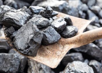 9 мың теңге тұратын көмір неге 25 мың теңгеден сатылады?