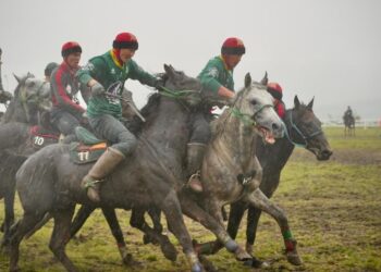 Жамбыл облысының көкпаршылары ел чемпионы атанды
