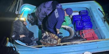 Жамбыл облысында заңсыз балық аулау дерегі анықталды