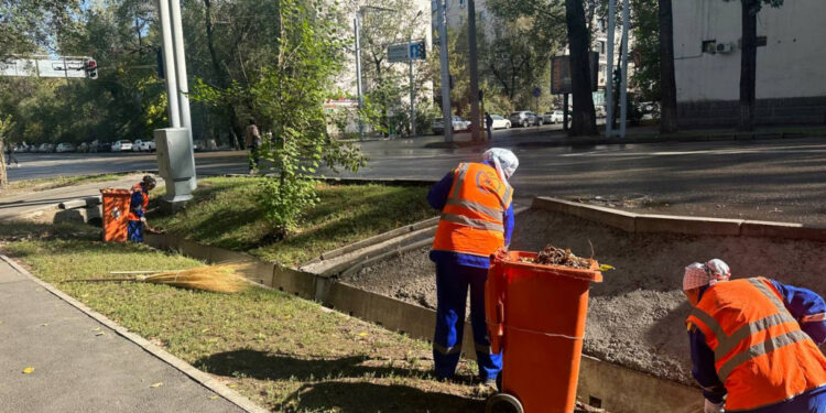Аула сыпырушыға санаторийге жолдама және 13-ші жалақы беру керек