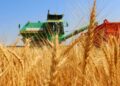 Агроном мамандарын даярлауды қолға алды