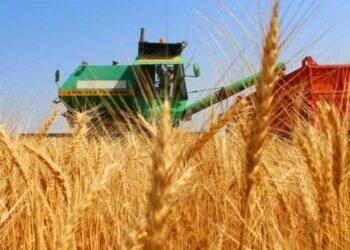 Агроном мамандарын даярлауды қолға алды