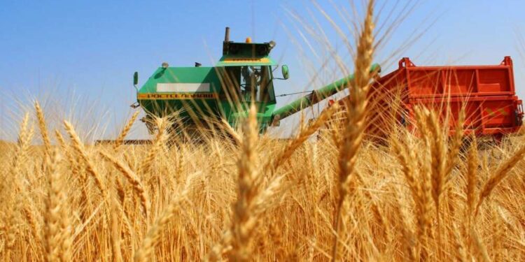 Агроном мамандарын даярлауды қолға алды