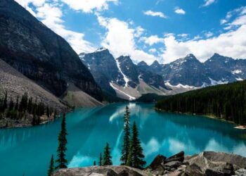 «Турполиция мен көлік полициясының шаңы да көрінбейді»