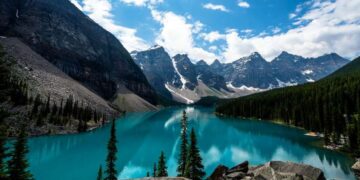 «Турполиция мен көлік полициясының шаңы да көрінбейді»