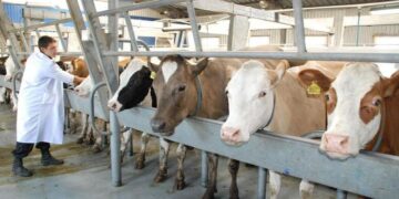 Қазақстандағы ветеринария қызметінің жай-күйі алаңдатады