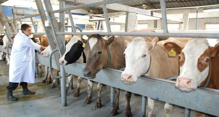 Қазақстандағы ветеринария қызметінің жай-күйі алаңдатады
