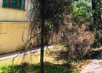 Жүрегі ізгілікке толы жандар жетерлік