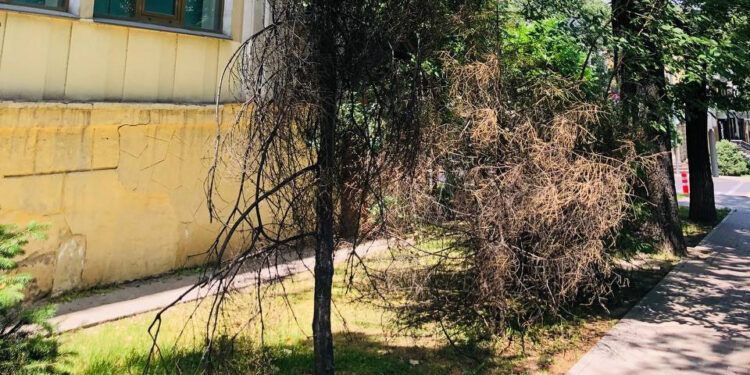 Жүрегі ізгілікке толы жандар жетерлік