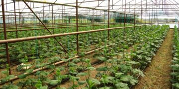 Тұрғындардың тұрақты табысқа қол жеткізуіне мүмкіндік береді