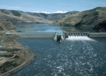 Судың «көлеңкелі» нарығына қарсы күрес жүргізеді