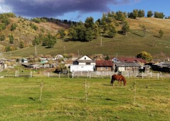 Әрбір ауылдың дамуы – ауданның дамуының кепілі