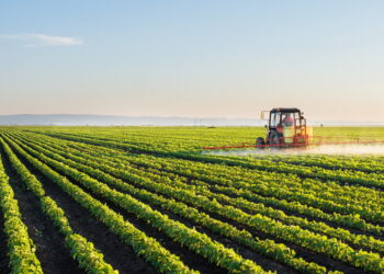 Жамбыл облысында 62 жобаның проблема болып тұрғаны анықталды