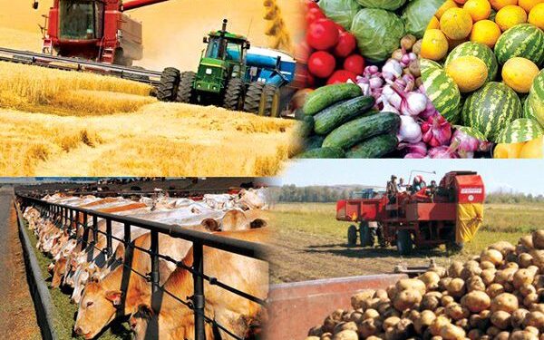 Барлық индикаторлық көрсеткіштер толық орындалуы керек