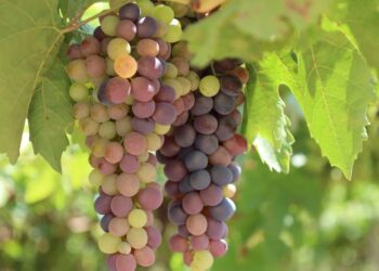 Бұл көрсеткіш жыл соңына дейін триллион теңгеден асады