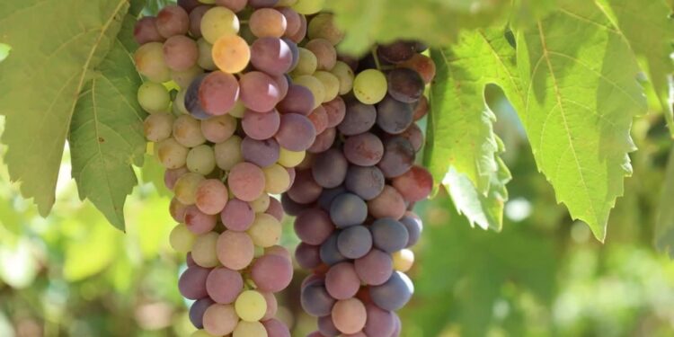 Бұл көрсеткіш жыл соңына дейін триллион теңгеден асады