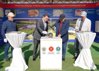 Өңірдің әлеуметтік-экономикалық дамуына оң ықпалын тигізетін жоба