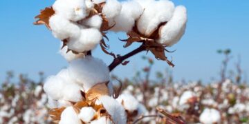 Жоба іске қосылғанда 12 000 адам жұмыспен қамтылмақ