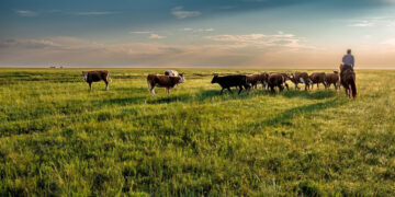 Қай өңірлерде жайылым жетпей жатыр?