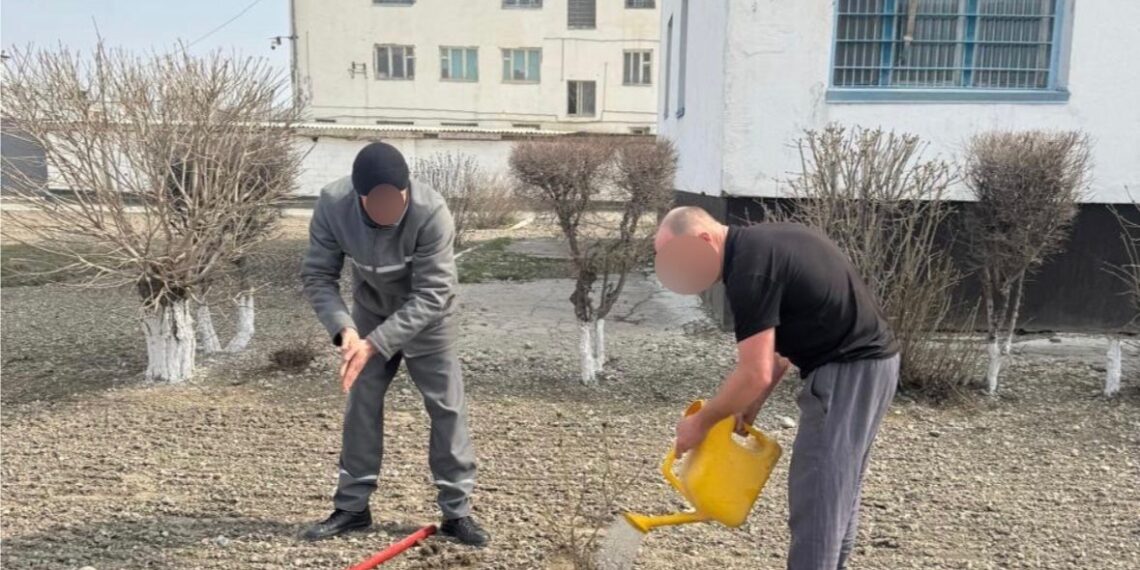 Жаңару күніне орай №59 мекемесінде ағаш отырғызу шарасы өтті