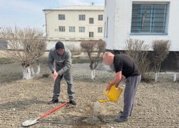Жаңару күніне орай №59 мекемесінде ағаш отырғызу шарасы өтті