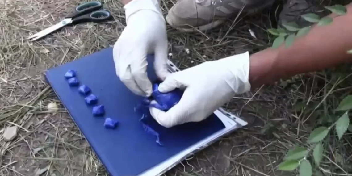 Грузияда есірткімен ұсталған қазақстандық өмір бойына сотталуы мүмкін