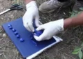 Грузияда есірткімен ұсталған қазақстандық өмір бойына сотталуы мүмкін