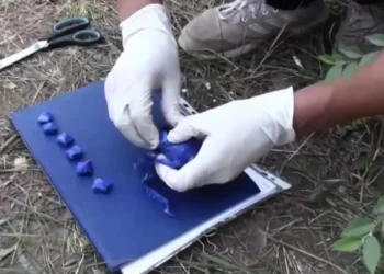 Грузияда есірткімен ұсталған қазақстандық өмір бойына сотталуы мүмкін