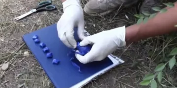 Грузияда есірткімен ұсталған қазақстандық өмір бойына сотталуы мүмкін