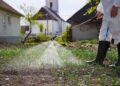 48 млн шаршы метрден астам аумақ кенелерге қарсы өңделді
